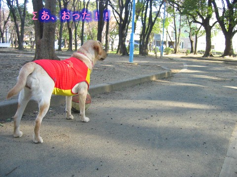 画像 340 Web 表示用 (中).jpg