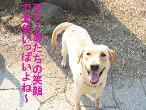 画像 734 Web 表示用 (中).jpg