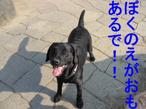 画像 736 Web 表示用 (中).jpg