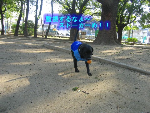 画像 341 Web 表示用 (中).jpg