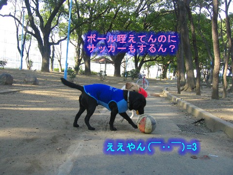 画像 342 Web 表示用 (中).jpg