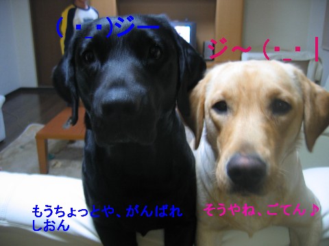 画像 048 Web 表示用 (中).jpg