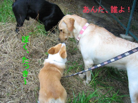 画像 742 Web 表示用 (中).jpg