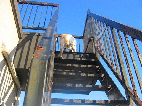 2006-12-181.jpg