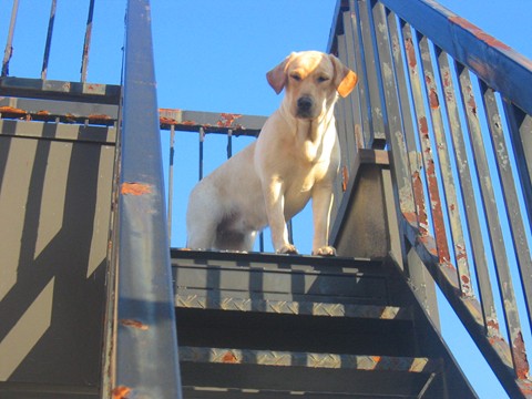 2006-12-183.jpg