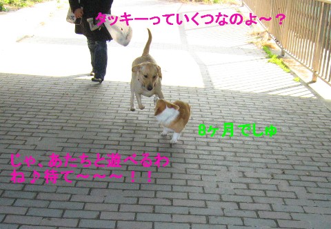 画像 744 Web 表示用 (中).jpg