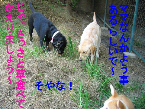 画像 743 Web 表示用 (中).jpg