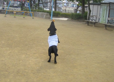 画像 242 Web 表示用 (中).jpg