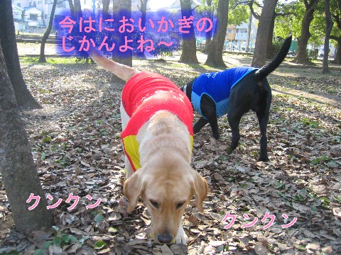 画像 346 Web 表示用 (中).jpg