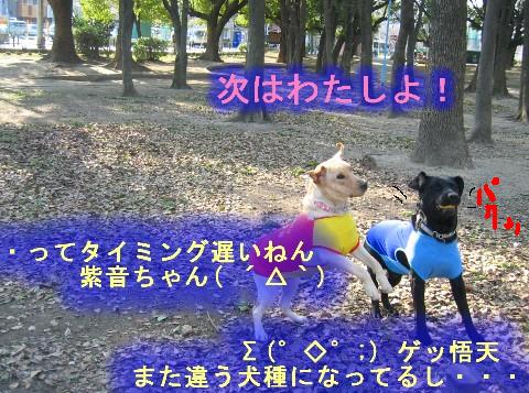画像 350 Web 表示用 (中).jpg