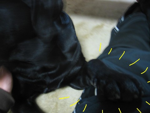 画像 217 Web 表示用 (中).jpg