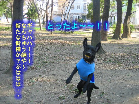 画像 351 Web 表示用 (中).jpg