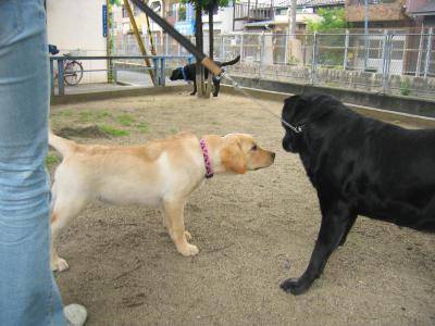 あいさつ.jpg