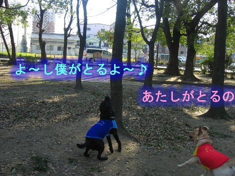 画像 352 Web 表示用 (中).jpg