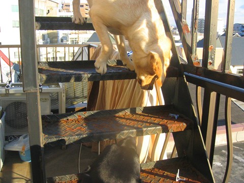 2006-12-189.jpg