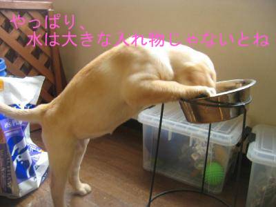 4-26水