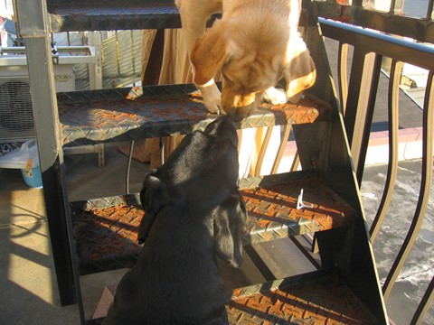 2006-12-1810.jpg