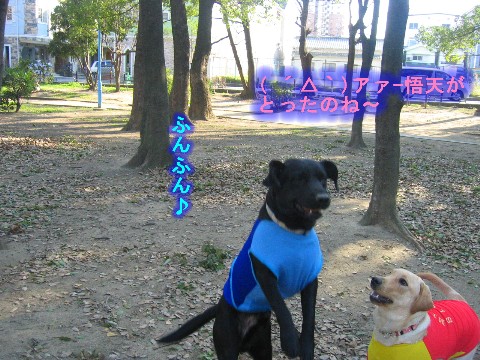 画像 353 Web 表示用 (中).jpg