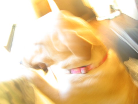 画像 360 Web 表示用 (中).jpg