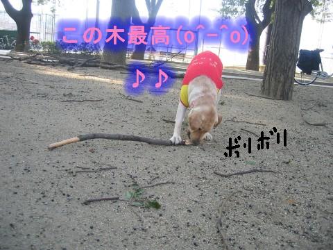画像 354 Web 表示用 (中).jpg