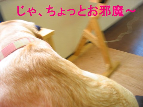 画像 906 Web 表示用 (中).jpg