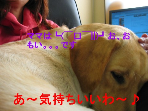 重い.jpg