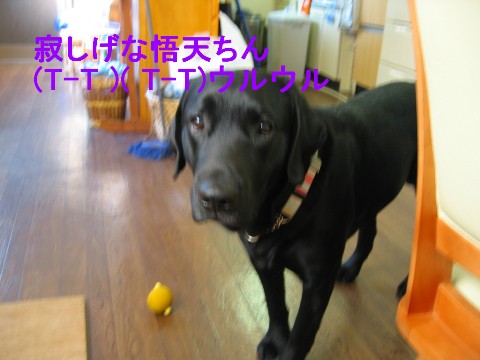 寂しい.jpg