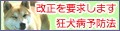 imgebc62916ccj235.gif