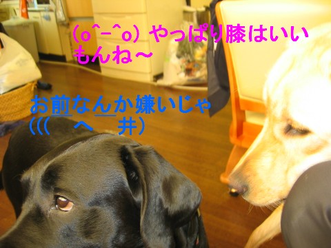 上下関係?.jpg