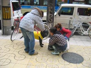 画像 148 Web 表示用 (小).jpg