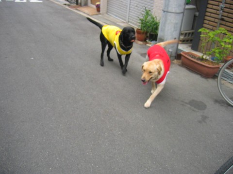 画像 141 Web 表示用 (中).jpg