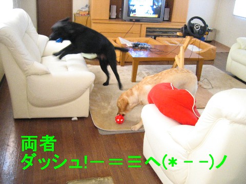画像 685 Web 表示用 (中).jpg