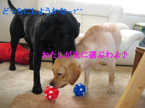 画像 688 Web 表示用 (中).jpg
