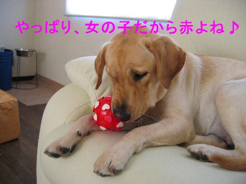 画像 690 Web 表示用 (中) Web 表示用 (中).jpg