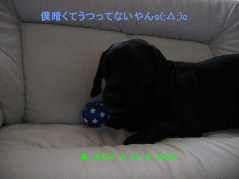 画像 692 Web 表示用 (中).jpg