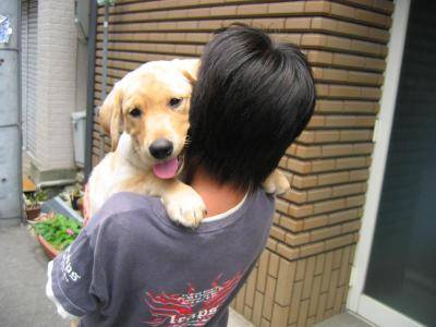 抱っこ.jpg