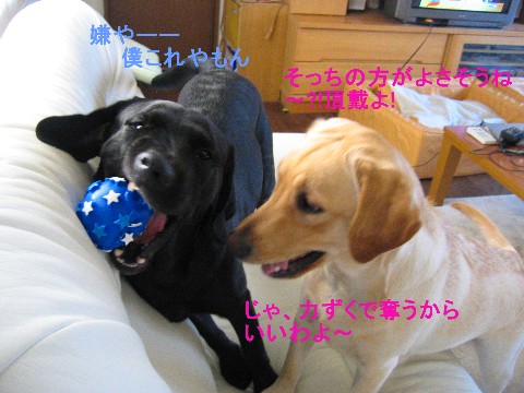 画像 697 Web 表示用 (中).jpg