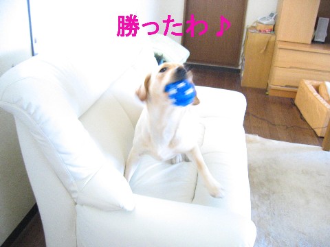 画像 705 Web 表示用 (中).jpg