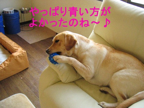 画像 706 Web 表示用 (中).jpg