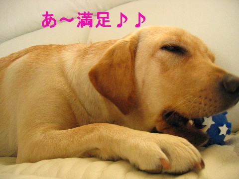 画像 708 Web 表示用 (中).jpg