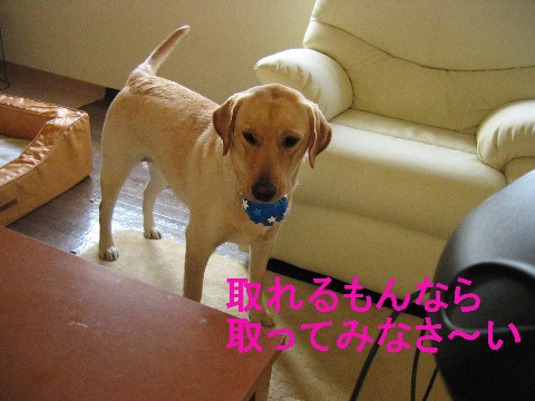 画像 710 Web 表示用 (中).jpg