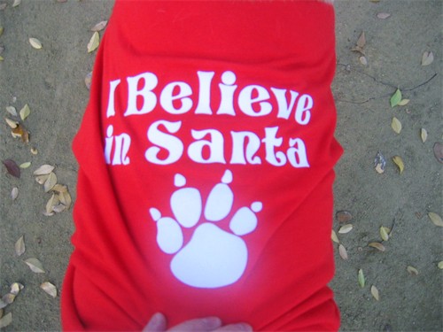 2006-12-252.jpg