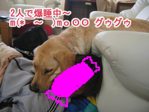 枕 Web 表示用 (中).jpg