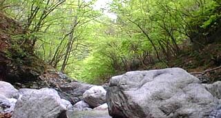 四十路男の 一人暮らし