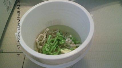 hasami