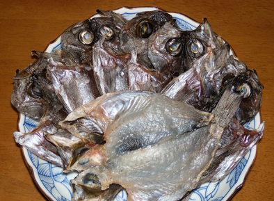 DSCN5589.jpg