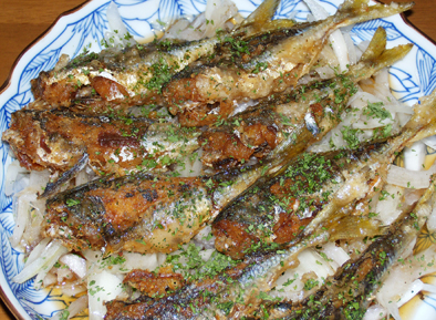 DSCN5580.jpg