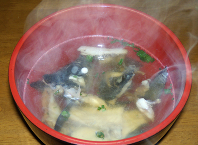 DSCN5585.jpg