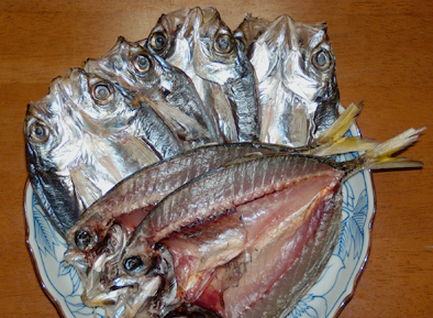 DSCN5600_edited-3.jpg