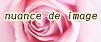 nuance de image.JPG